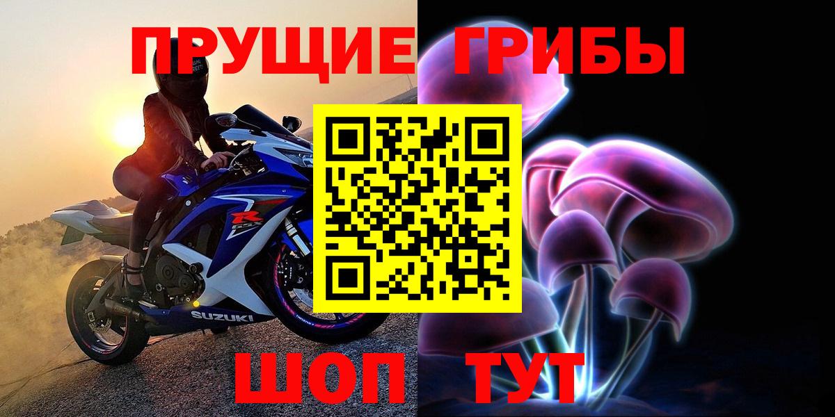 Галлюциногенные грибы прущие грибы  Вход с VPN  Щёлково 